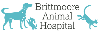 Link to Homepage of Brittmoore Animal Hospital